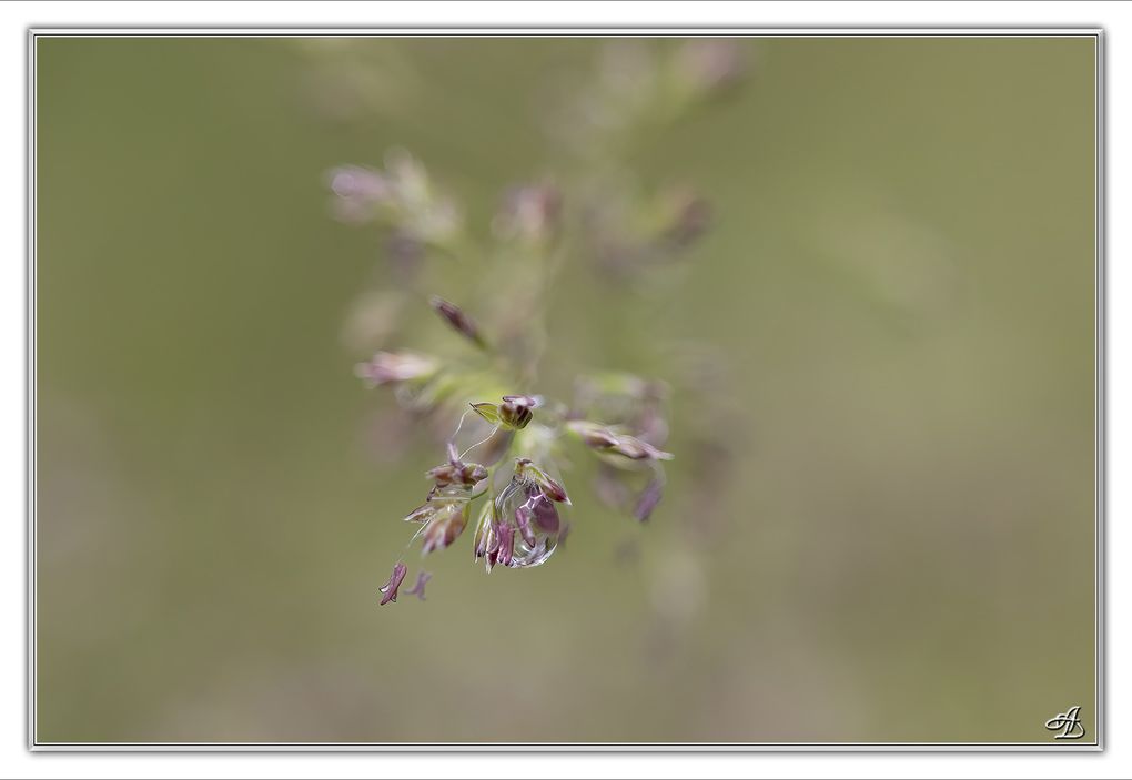 02 - Gouttes d'eau