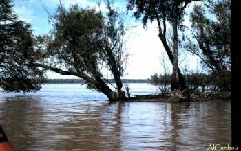 Portraits of Fat Tuesday