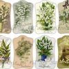 Cartonnettes Muguet !