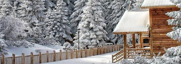 C'est l'hiver !