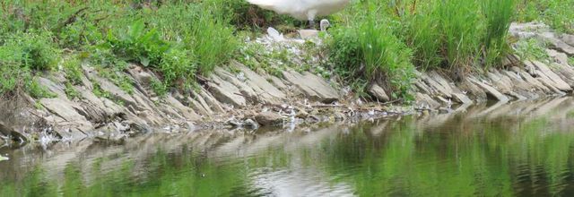 mes reflets recherchés