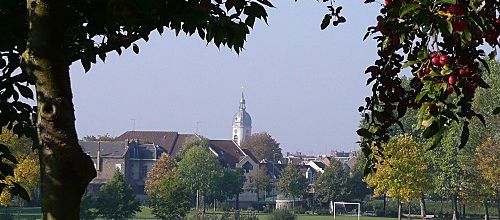 Fais-moi un cygne ...