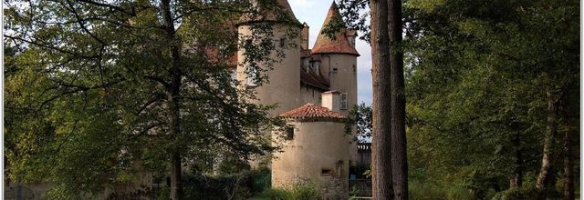 63 . Puy de Dôme -  Courpière (1) - Château de la Barge
