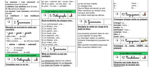 Plan de travail CE1 2013-2014 numéro 7