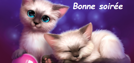 Bonne soirée