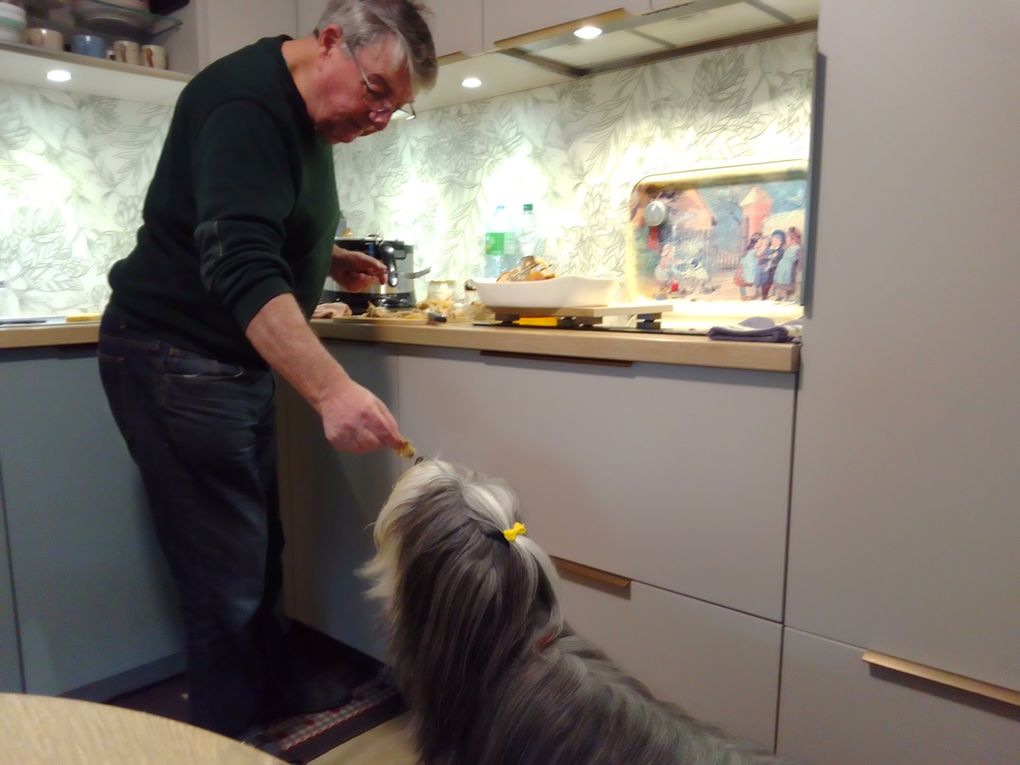 diaporama * Tavia la gourmande - photos du 25.10.2025 " Juste un p'tit bout STP pôpa" !! lol