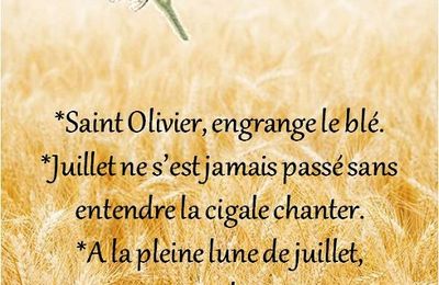 Dictons * Fête Olivier * grille prénom  !