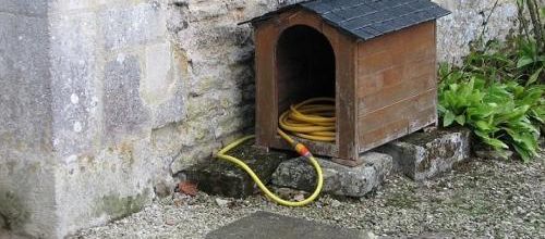 ... Attention au chien...!