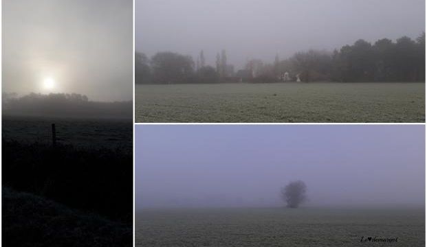 Jour de brouillard
