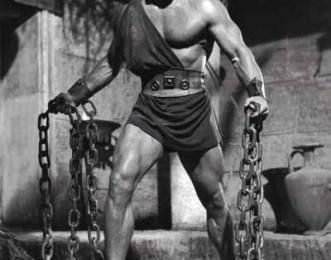 BOX OFFICE DE LA FRANCHISE "HERCULE"
