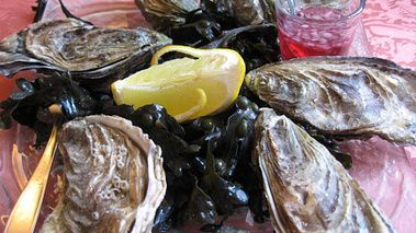 Choisir ses huitres La France est le pays des huitres