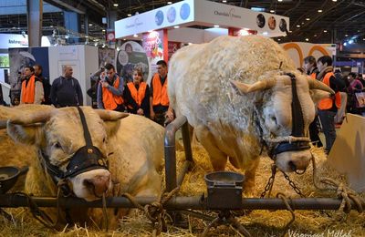 Salon International de l'Agriculture 2015 : La Charolaise : GANDIN et E MAIL