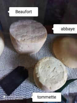 Des fromages maison en veux tu en voilà du moins une partie