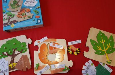 Ateliers botaniques : arbre, fleur, feuille 