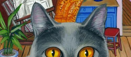 "Intérieur, chat gris"