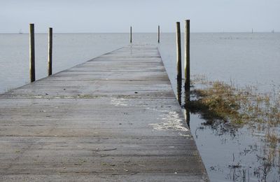 EB - Herbes et algues au bord de la jetée...