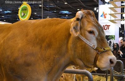 Salon de l'Agriculture 2012 : Ubella