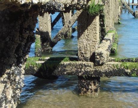 St Jean-de-Monts