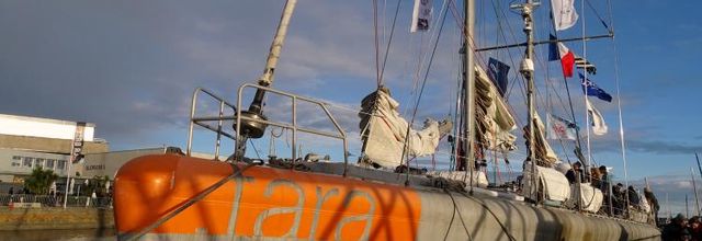 Tara à Lorient l'accueil