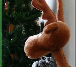 Mon bôôôô sapin ....