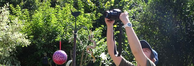 Très chaud! Et l'ardoisier est venu