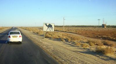 OUARGLA (Algérie): destination touristique à découvrir