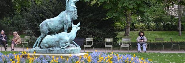 Jardin du Luxembourg : Harde de cerfs de Arthur-Jacques Leduc