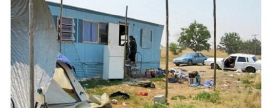 Pine Ridge