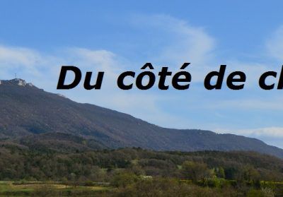 Regarder en arrière