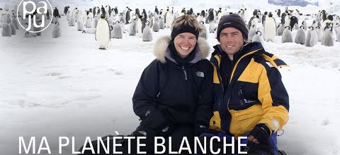 Une photographe et son mari aquarelliste saisissent la beauté pure du monde sauvage de l'Antarctique