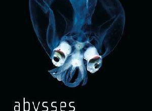 Abysses
