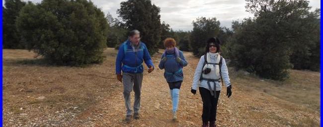 Le four a cade de Revers de Boquié