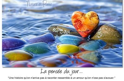 La pensée du jour (227)