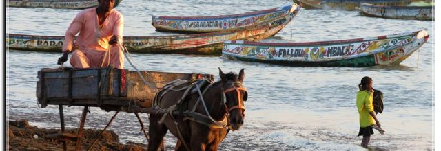 LES CHARRETTES ET LE CHEVAL 2019
