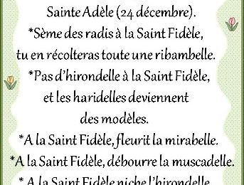 Dictons et Fête du jour Fidèle   + grille prénom   !