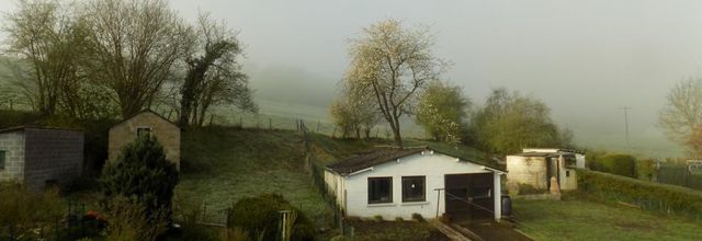 Hier matin, côté jardin