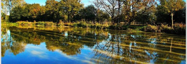 85 . Vendée - La Chaize le Vicomte (24) - Etang communal