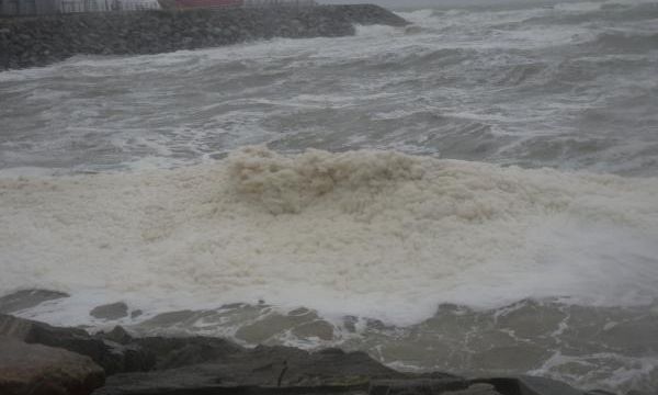 L'écume de mer sur le rivage