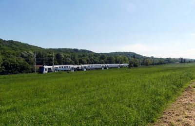 La vallée de la Bièvre : de Jouy à Massy