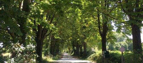 R 12 /  CR- STE EULALIE