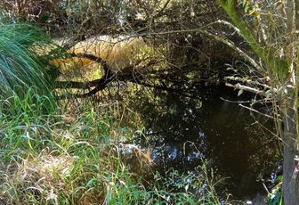 défi reflets d'Annie N°12