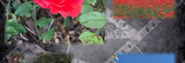 Mercredi 13 Mai 2020