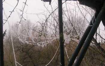 Matin d'hiver (2)