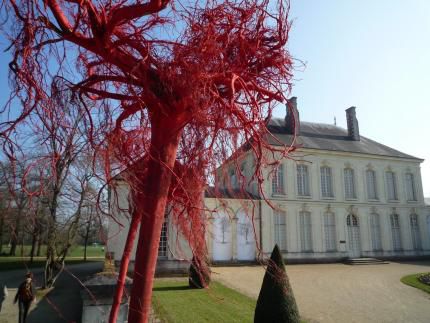 Le Grand Blottereau, les cheveux par la racine ....