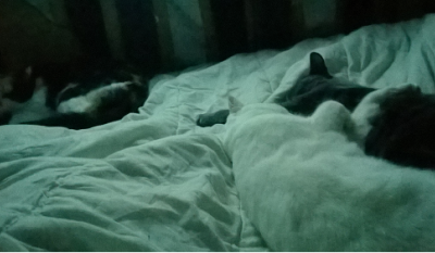 Le sommeil simple comme ...