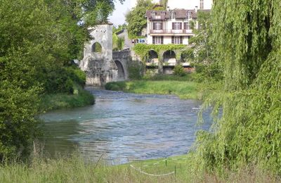 Sauveterre du Bearn dept 64 (2)