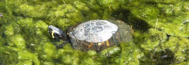 Rencontre sympathique