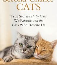 [download pdf] Second-Chance Cats: True Stories of the Cats We Rescue and the Cats Who Rescue Us