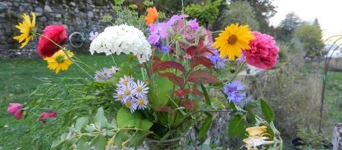Dernières fleurs