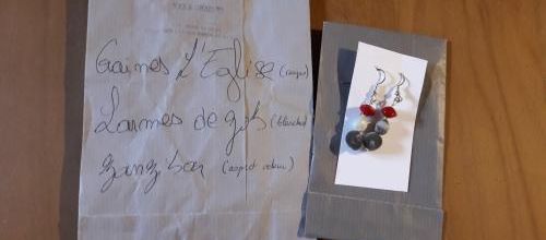 Des boucles d'oreilles en graines de la part d'Isa